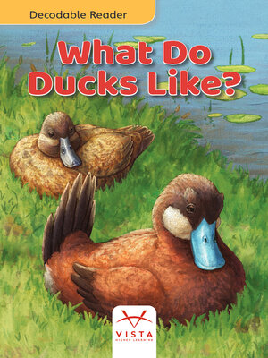 cover image of What Do Ducks Like?
